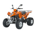 Model Maxxer 300 Supermoto [RFBL30070] (LA60HD) L3